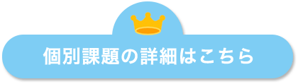 個別課題の詳細はこちら