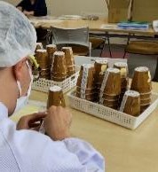 施設内作業の様子